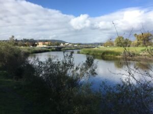 San Lorenzo California Ingenuity Construction Group Credits: https://commons.wikimedia.org/wiki/File:San_Lorenzo_River_2016.jpg